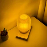 import placeholder for 13996